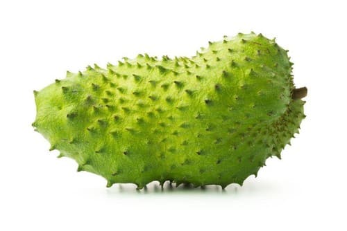 Fresh Soursop Fruit, organically Grown