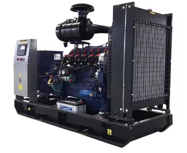 Biogas Generator