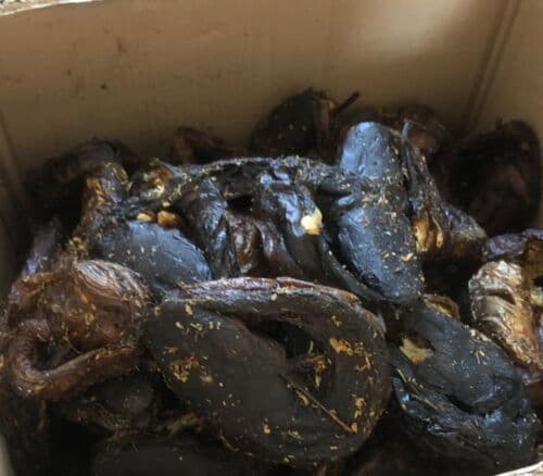 4pcs Large and Medium sized Fresh Nigerian Dry Catfish