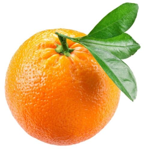 Fresh Oranges - 1xeach