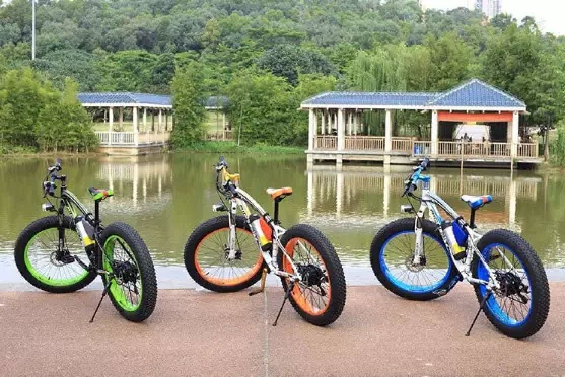 Electric Bicycle Bike 350W 26inch 36V 10ah Adult Full Suspension Mountain Bike