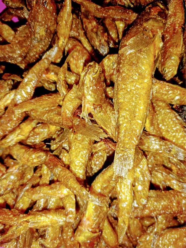 Gbɔvilolo kalami ( Mapo fish) Delicious & High Quality