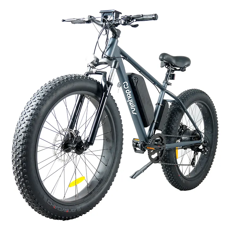 Electric Bicycle Rear Motor Ebike Fat Tire E Bike Mountain Dirt Bike