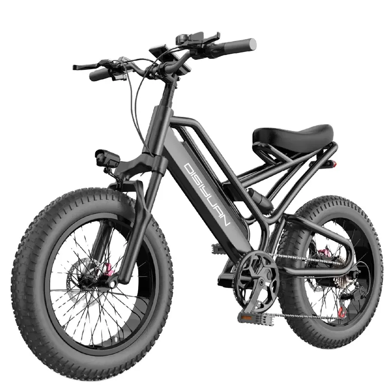 Ebike 500 W Fat Tire Electric Bicycle Dirtbike Ports E Bike Dirt Cycle Mountain Electric Bike