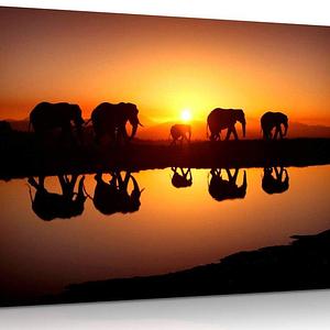 African Sunset Elephants Nature Wildlife Canvas Wall Art Picture Print