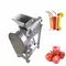 Fruit juicer machine / automatic industrial cold press mango orange juice