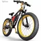 Ebike 21 speed gears 48v electric bike bicycle fat tire e bike electric bicycle