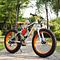 Electric bicycle bike 350w 26inch 36v 10ah adult full suspension mountain bike