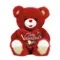 Valentine's day red teddy bear with valentine's gift love heart soft stuffed plush toy