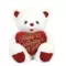 Valentine's day white & red teddy bear with love heart valentines gift soft stuffed plush toy 