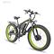 Electric hybrid bike dual motor 2000w 48v hydraulic brake aluminum alloy frame fat tire 
